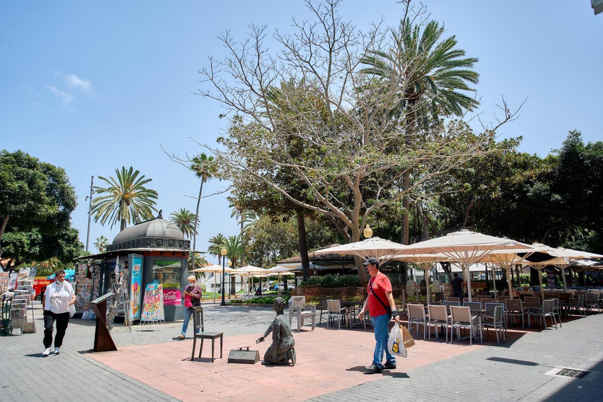 Urban Flat In Santa Catalina - 4 Min Walk To Beach Las Palmas de Gran Canaria Exterior photo